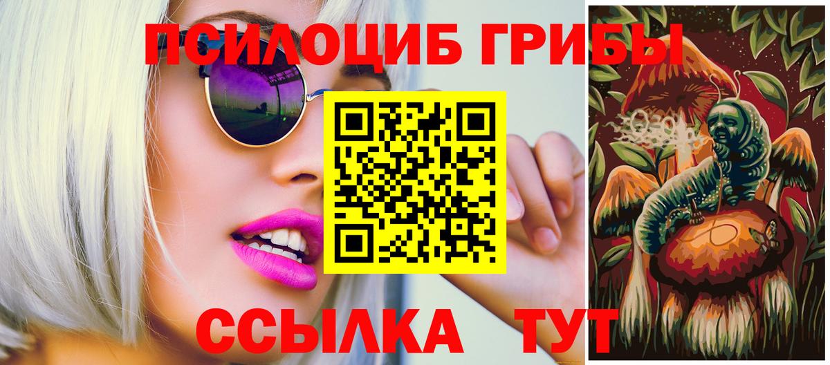 Губаха  Галлюциногенные грибы MAGIC MUSHROOMS  Вход с VPN 