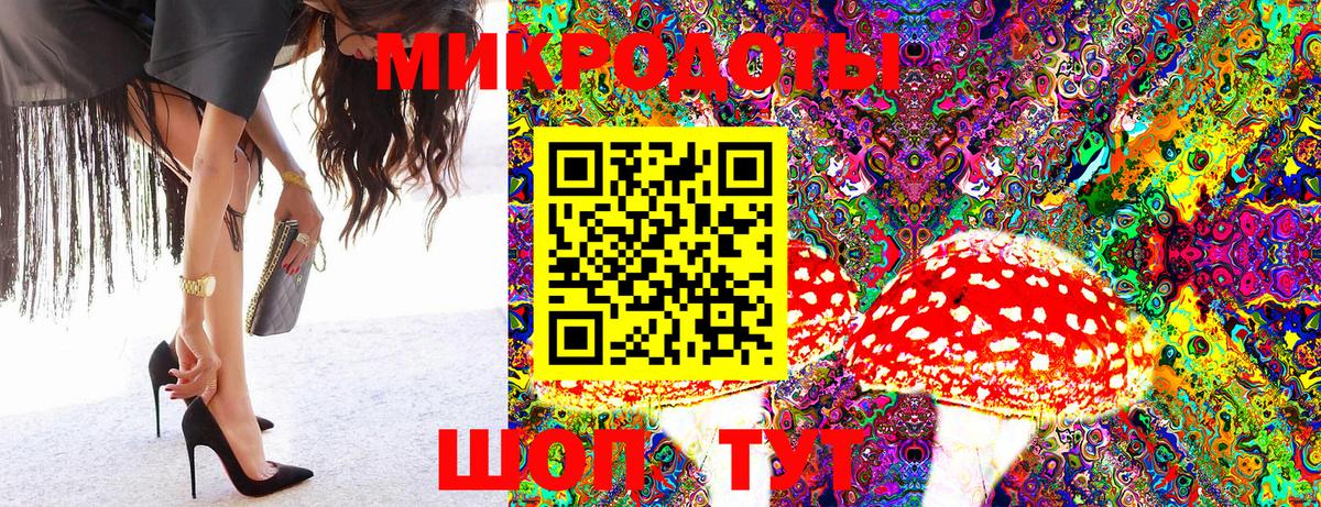 Галлюциногенные грибы Psilocybe Губаха